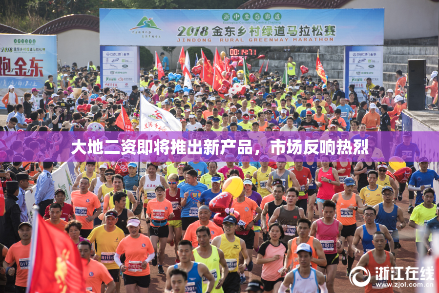 大地二资即将推出新产品，市场反响热烈