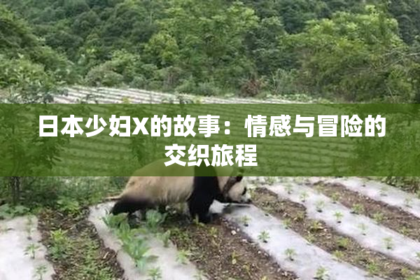 日本少妇X的故事：情感与冒险的交织旅程