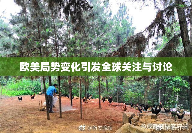 欧美局势变化引发全球关注与讨论