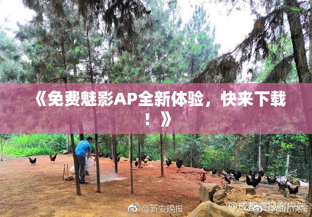 《免费魅影AP全新体验，快来下载！》