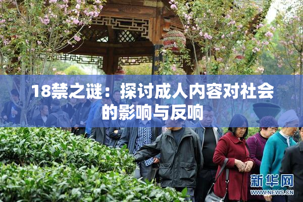18禁之谜：探讨成人内容对社会的影响与反响