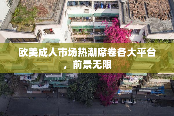 欧美成人市场热潮席卷各大平台，前景无限