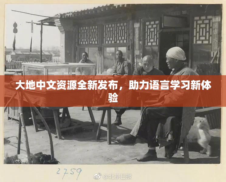 大地中文资源全新发布，助力语言学习新体验