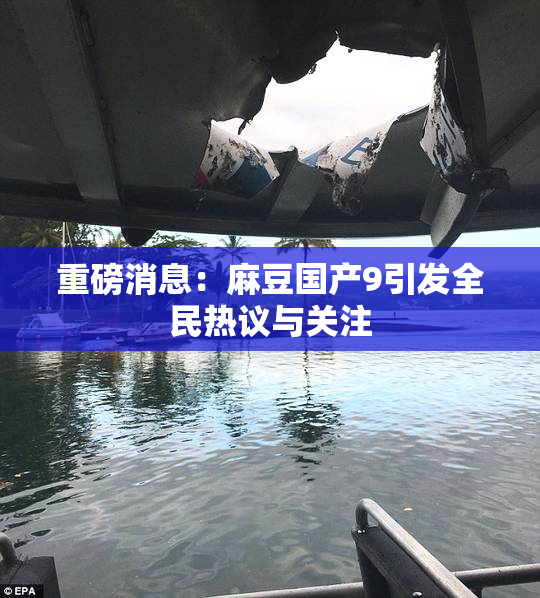 重磅消息：麻豆国产9引发全民热议与关注