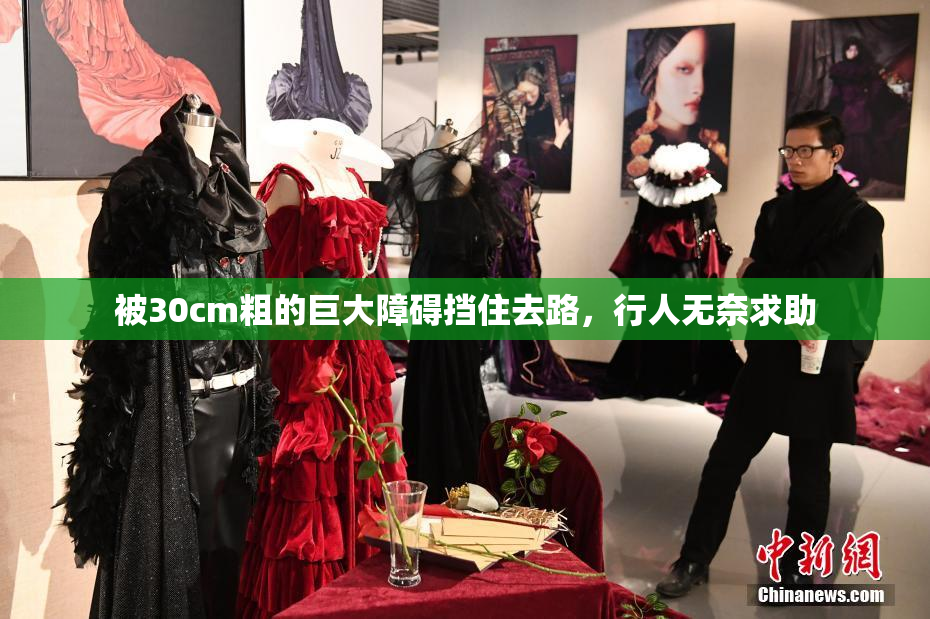 被30cm粗的巨大障碍挡住去路，行人无奈求助