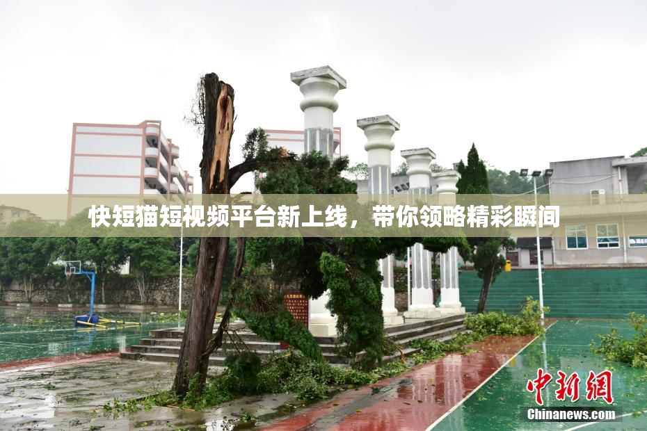 快短猫短视频平台新上线，带你领略精彩瞬间