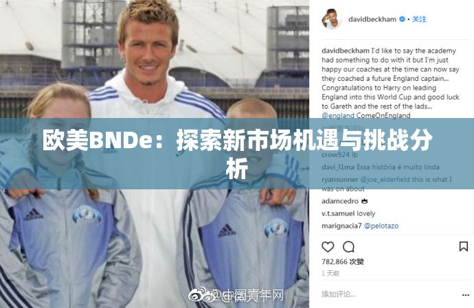 欧美BNDe：探索新市场机遇与挑战分析