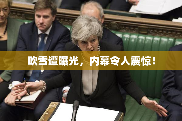 吹雪遭曝光，内幕令人震惊！