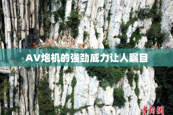 AV炮机的强劲威力让人瞩目