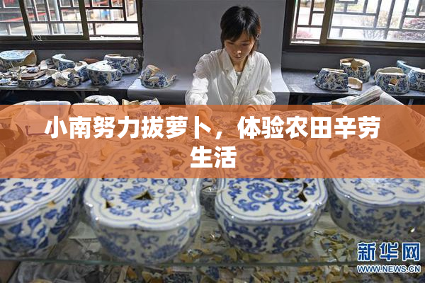 小南努力拔萝卜，体验农田辛劳生活