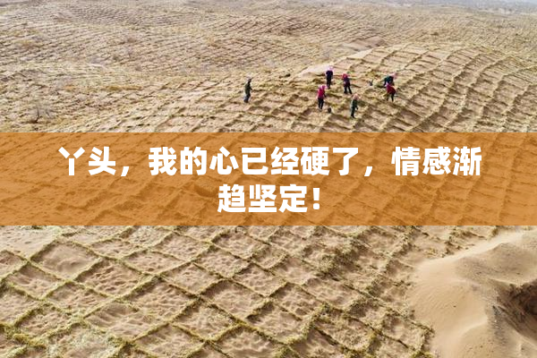丫头，我的心已经硬了，情感渐趋坚定！