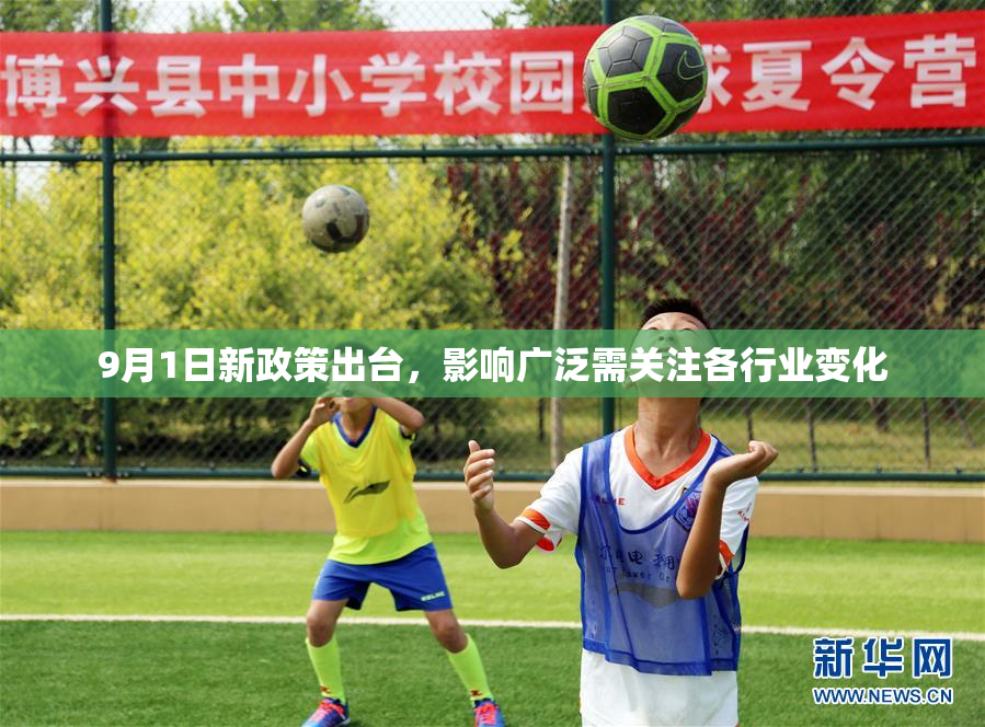 9月1日新政策出台，影响广泛需关注各行业变化