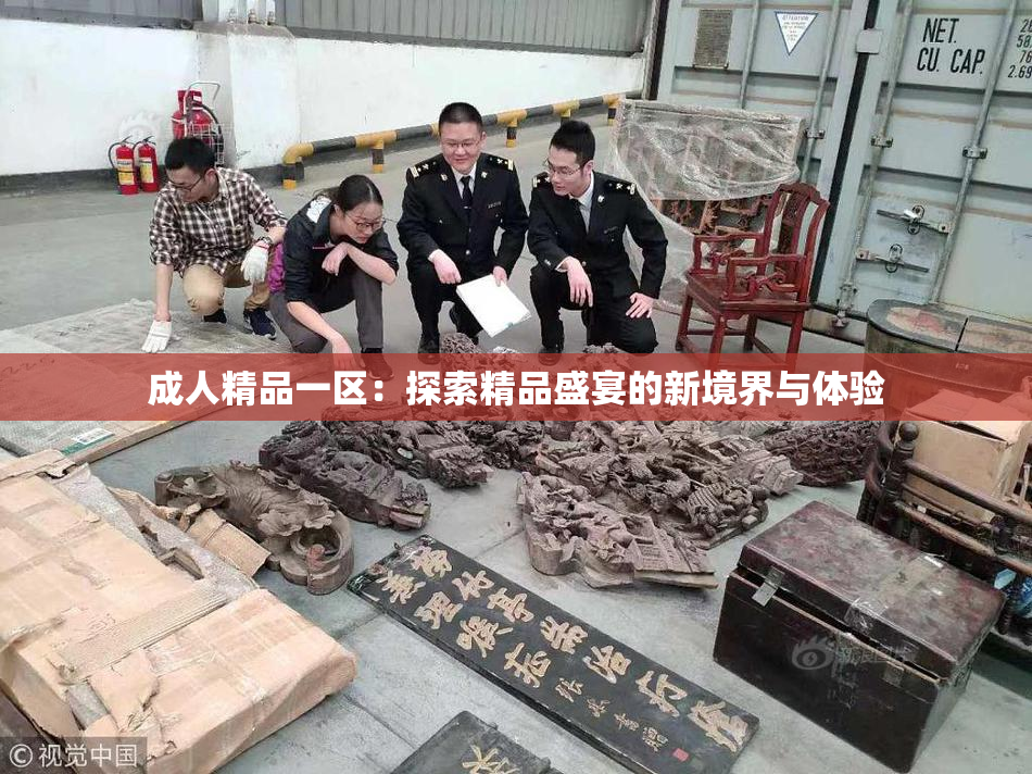 成人精品一区：探索精品盛宴的新境界与体验