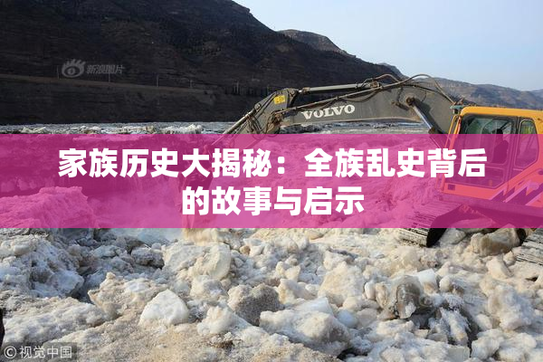 家族历史大揭秘：全族乱史背后的故事与启示