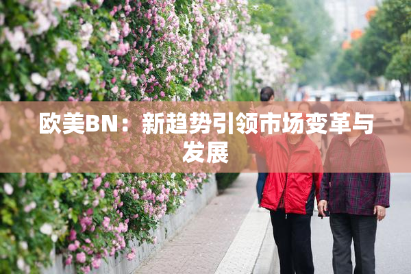 欧美BN：新趋势引领市场变革与发展