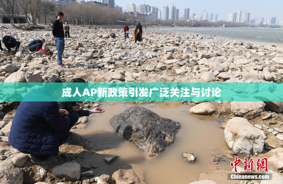 成人AP新政策引发广泛关注与讨论