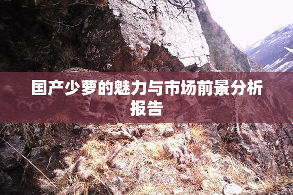 国产少萝的魅力与市场前景分析报告