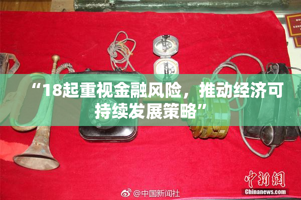 “18起重视金融风险，推动经济可持续发展策略”