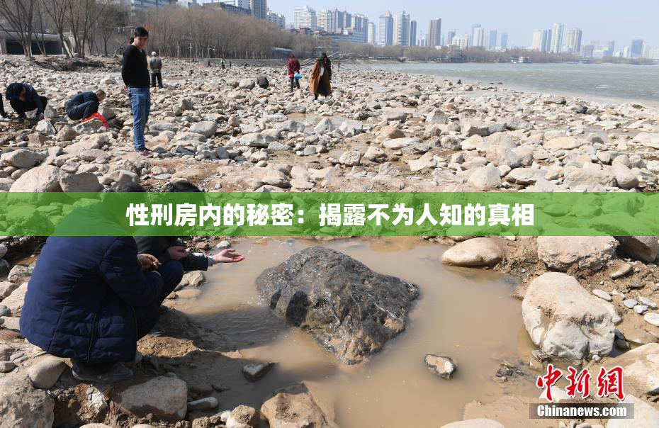 性刑房内的秘密：揭露不为人知的真相