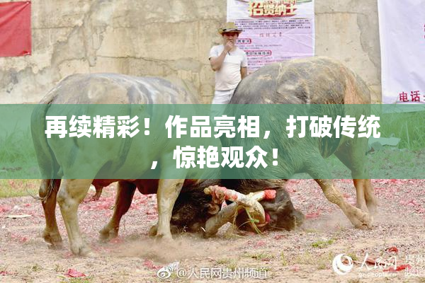 再续精彩！作品亮相，打破传统，惊艳观众！