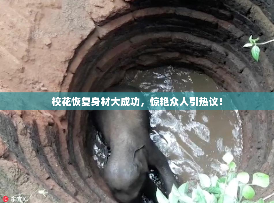 校花恢复身材大成功，惊艳众人引热议！