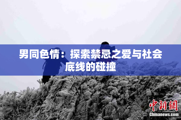 男同色情：探索禁忌之爱与社会底线的碰撞