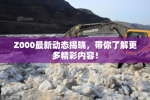 Z000最新动态揭晓，带你了解更多精彩内容！