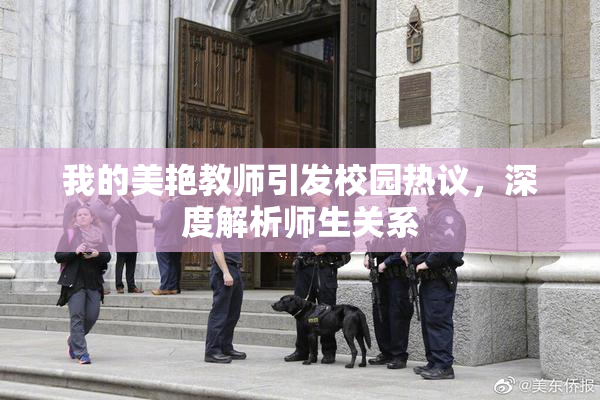 我的美艳教师引发校园热议，深度解析师生关系