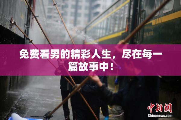 免费看男的精彩人生，尽在每一篇故事中！