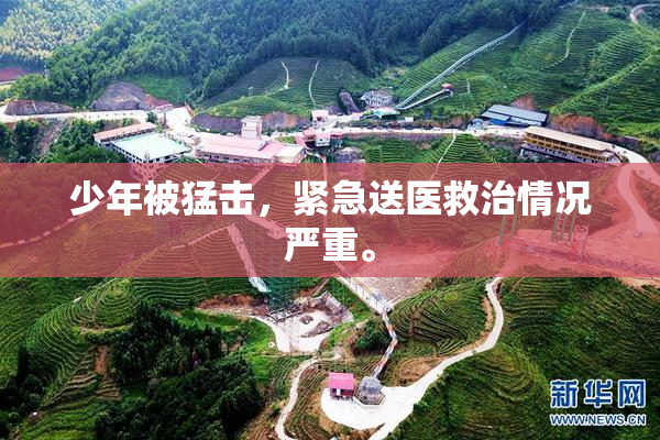 少年被猛击，紧急送医救治情况严重。