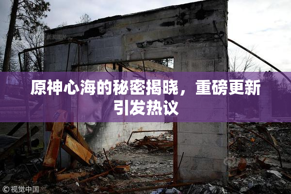 原神心海的秘密揭晓，重磅更新引发热议