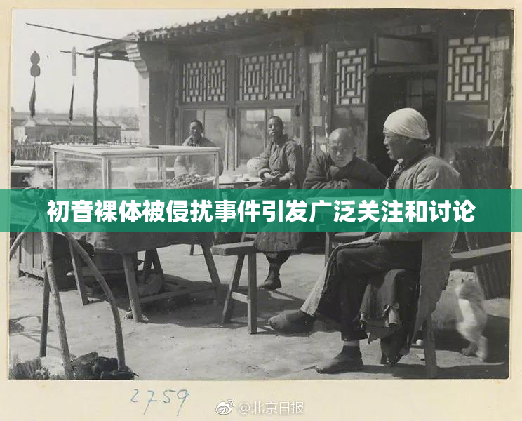 初音裸体被侵扰事件引发广泛关注和讨论