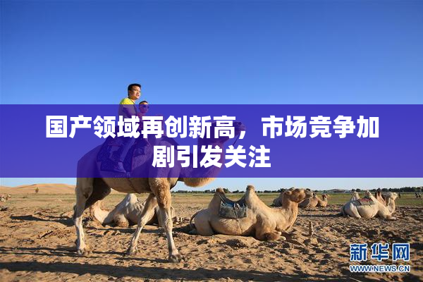国产领域再创新高，市场竞争加剧引发关注
