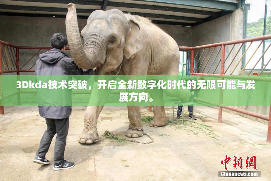 3Dkda技术突破，开启全新数字化时代的无限可能与发展方向。
