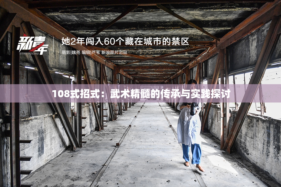 108式招式：武术精髓的传承与实践探讨