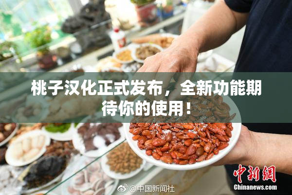 桃子汉化正式发布，全新功能期待你的使用！