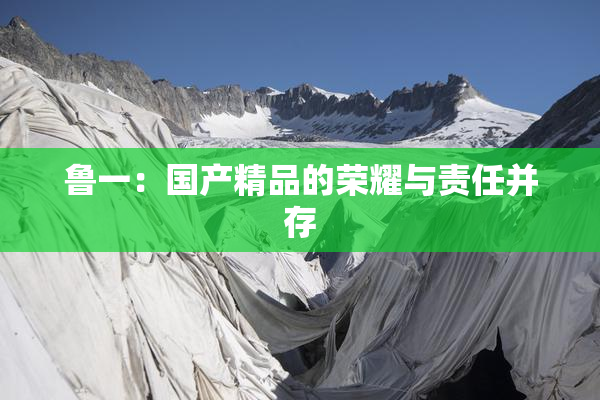 鲁一：国产精品的荣耀与责任并存