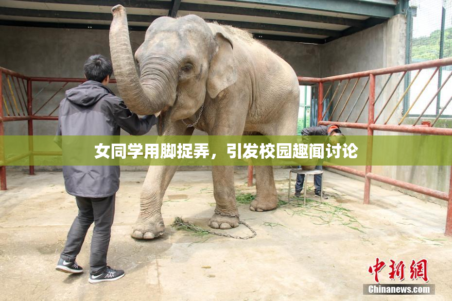 女同学用脚捉弄，引发校园趣闻讨论