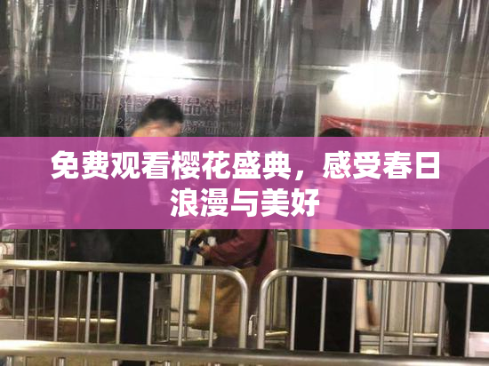 免费观看樱花盛典，感受春日浪漫与美好