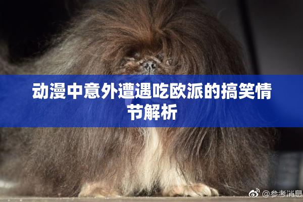 动漫中意外遭遇吃欧派的搞笑情节解析