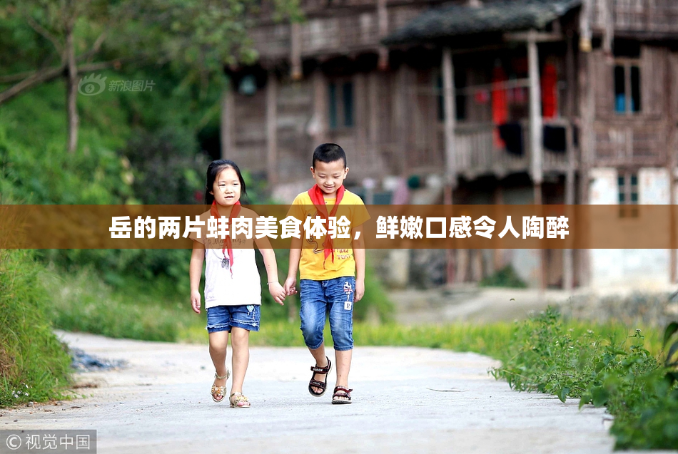 岳的两片蚌肉美食体验，鲜嫩口感令人陶醉