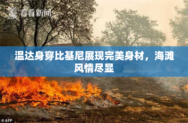 温达身穿比基尼展现完美身材，海滩风情尽显