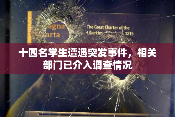 十四名学生遭遇突发事件，相关部门已介入调查情况