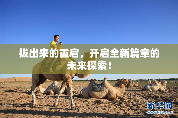 拔出来的重启，开启全新篇章的未来探索！