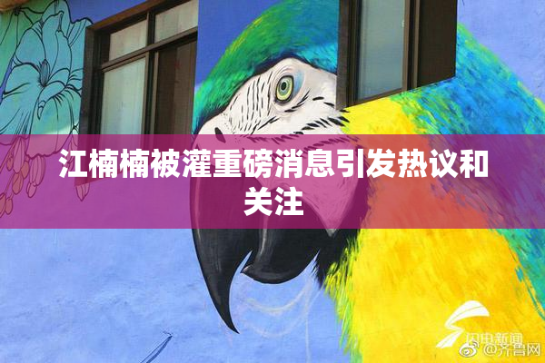 江楠楠被灌重磅消息引发热议和关注