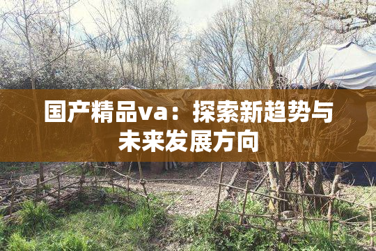 国产精品va：探索新趋势与未来发展方向