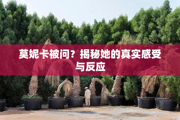 莫妮卡被问？揭秘她的真实感受与反应