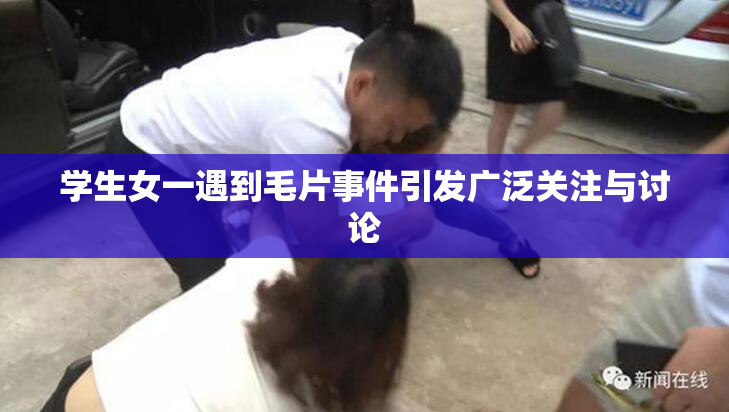 学生女一遇到毛片事件引发广泛关注与讨论