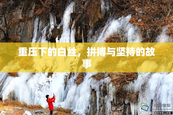 重压下的白丝，拼搏与坚持的故事