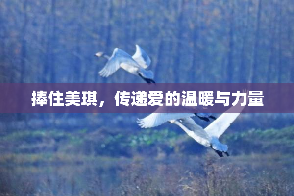 捧住美琪，传递爱的温暖与力量
